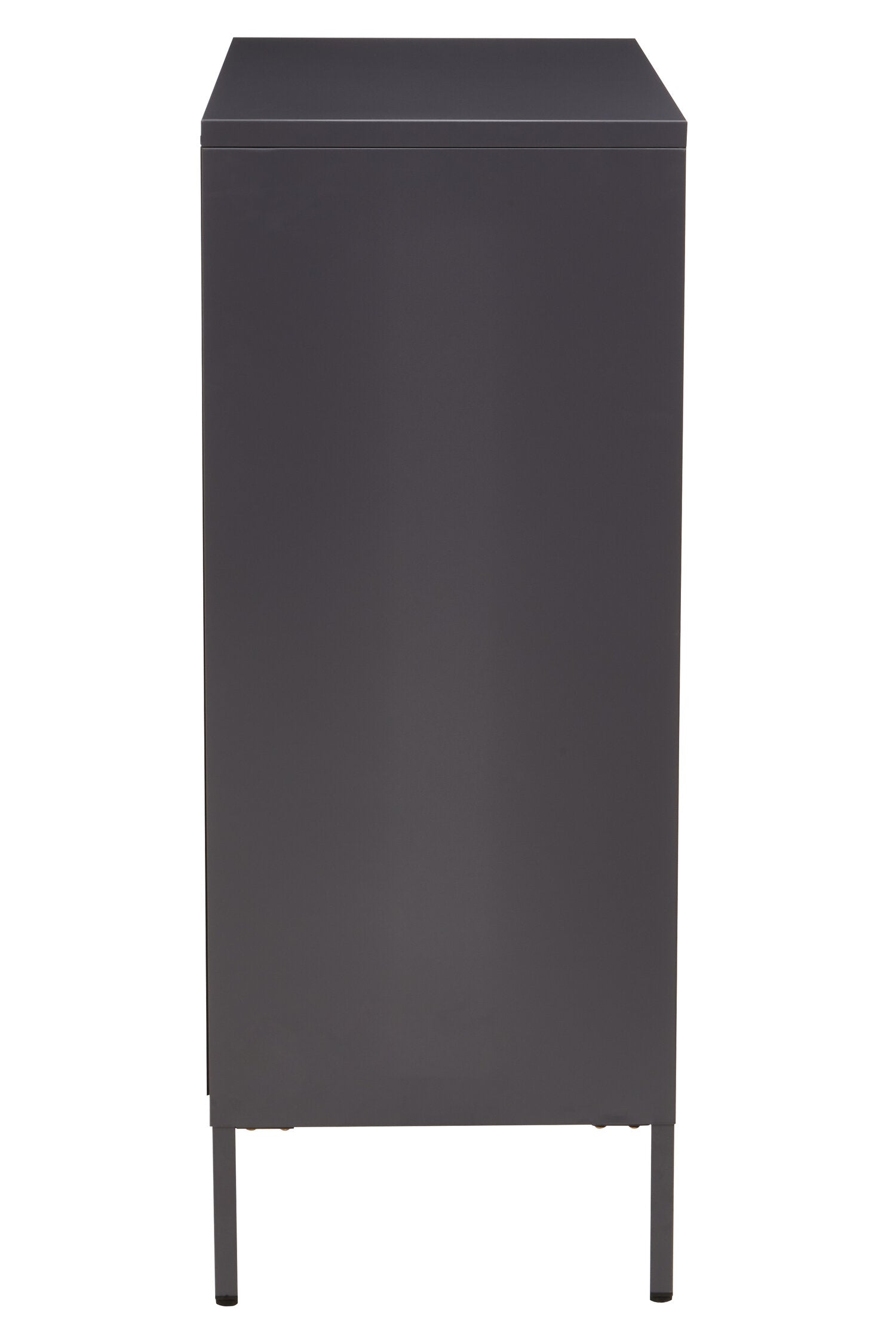 Asier Grey Metal Two Door Cabinet - The Orchard Home and Gifts