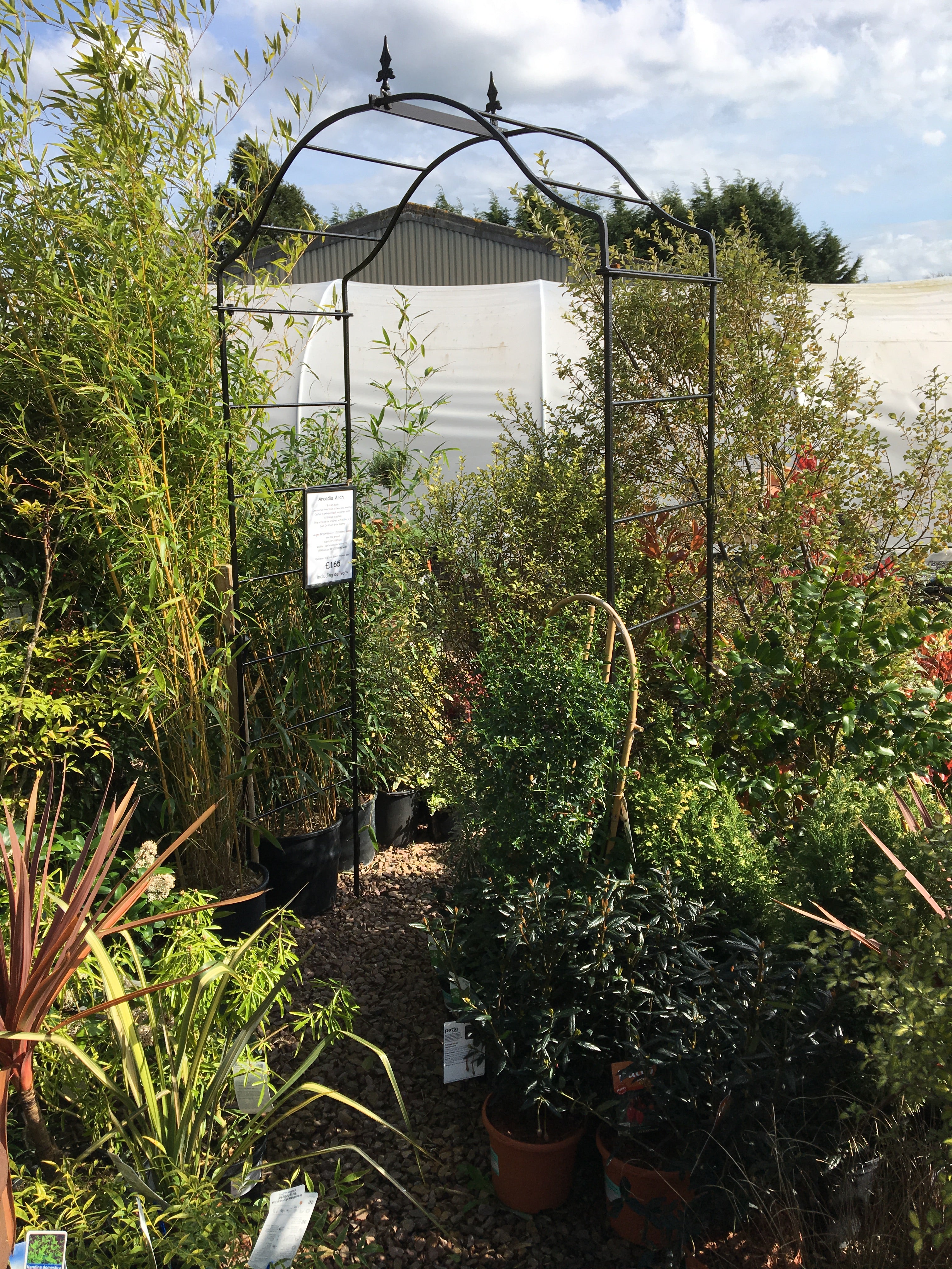 Arcadia Round Steel Black Steel Garden Arch Made in the UK