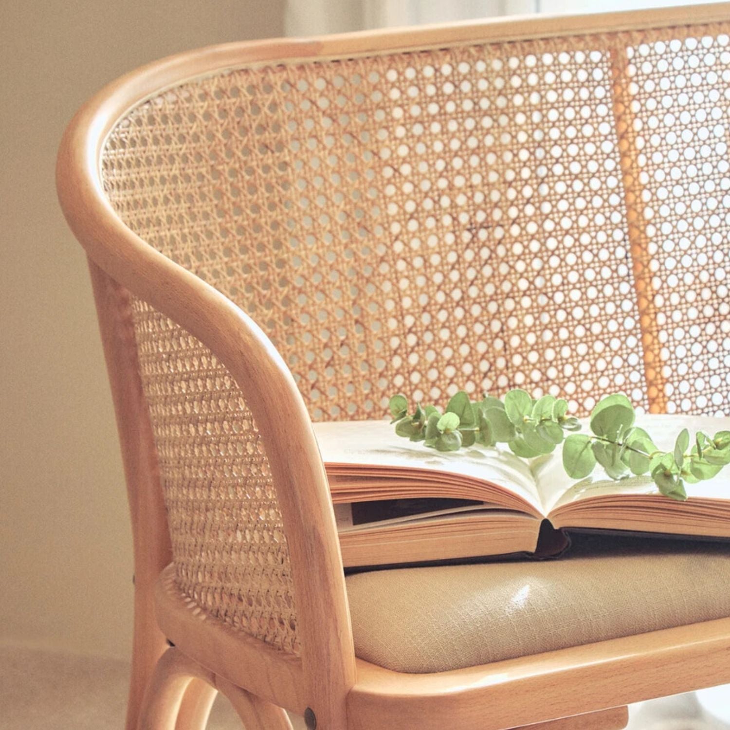 Cane Woven Beech Wood Upholstered Bench - The Orchard Home and Gifts