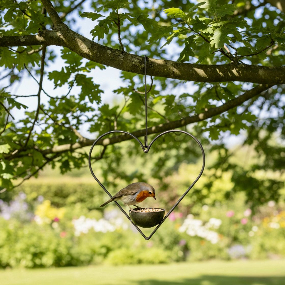 Bird perched on a heart-shaped bird feeder hanging from a tree branch.