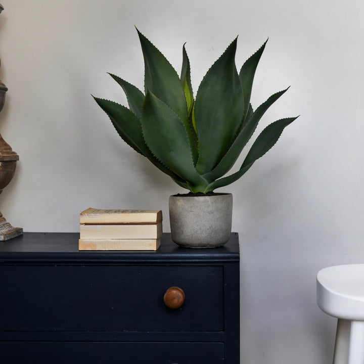 Aloe Vera Faux Plant In Clay Pot