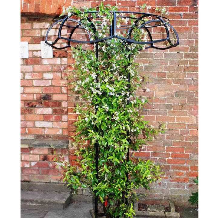 Large Garden Plant Support Tuteur - The Orchard Home and Gifts