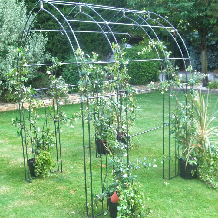 Gothic Tunnel Steel Garden Arch - The Orchard Home and Gifts