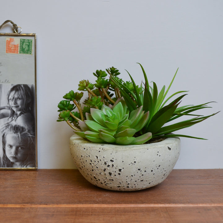 Faux Succulent Garden Bowl