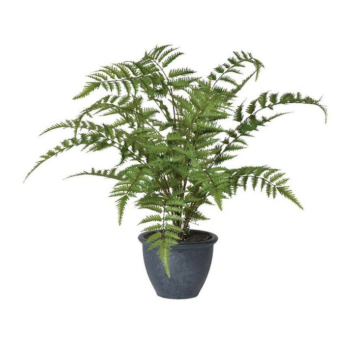 Faux Bracken Fern Bush In Pot