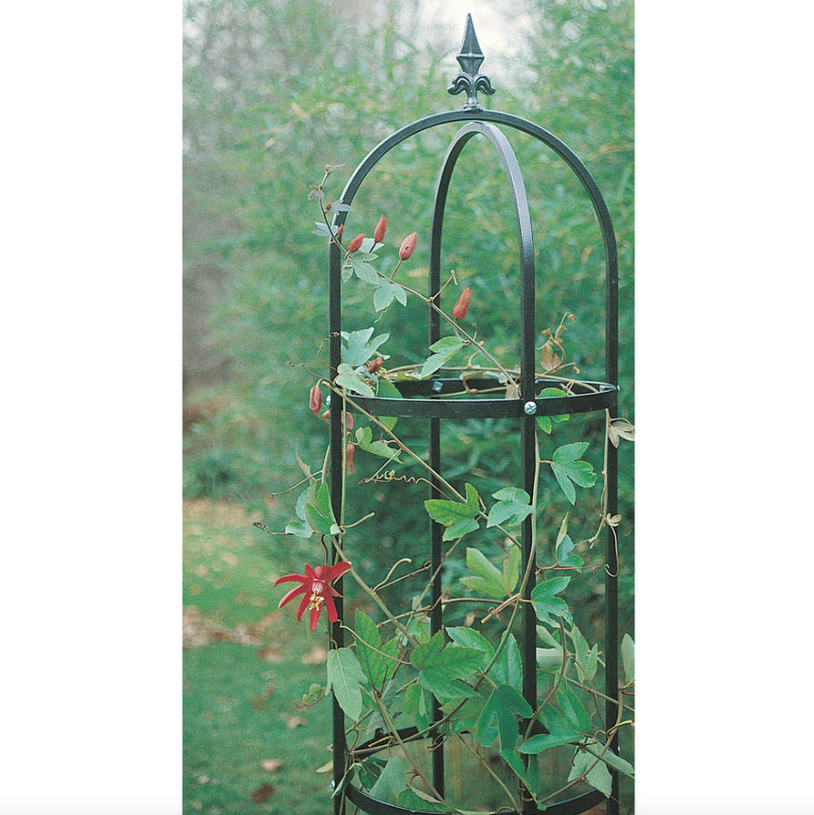 Traditional Outdoor Support Obelisk Tower for Plants (Black)