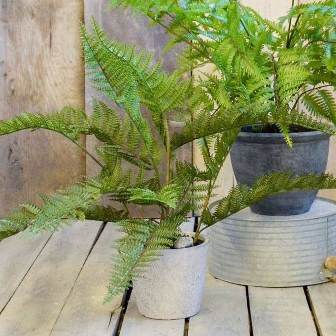 Faux Fern Plant In Pot